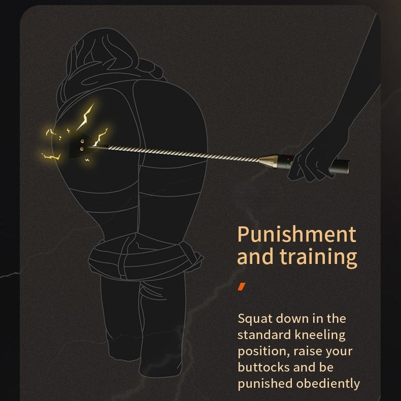 Electric Shock Spanking Crop